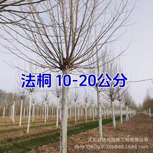 ��ͩ���編����ͩ�����~������ͩ�Ͼ���ͩ����ͩС���編ͩ���ľ