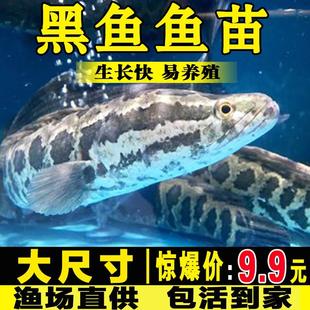 �ش���~�絭ˮ���w���k���s��С���~���Bֳ�~���^�pؔ�~����~��