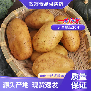 ɽ�|���r�д������SƤ�S�Į��������r���߲ˎ����R���������]