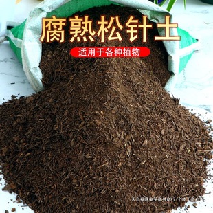 Pine Needle Decomposed Humic Soil Organic Nutrient Soil for Growing Flowers and Vegetables Soil Potted Household Universal Rotary Leaf Soil