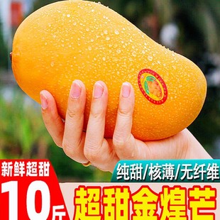 �V�����â���râ��10�ﮔ���Ꭷˮ������â�����ˮ��â�����]