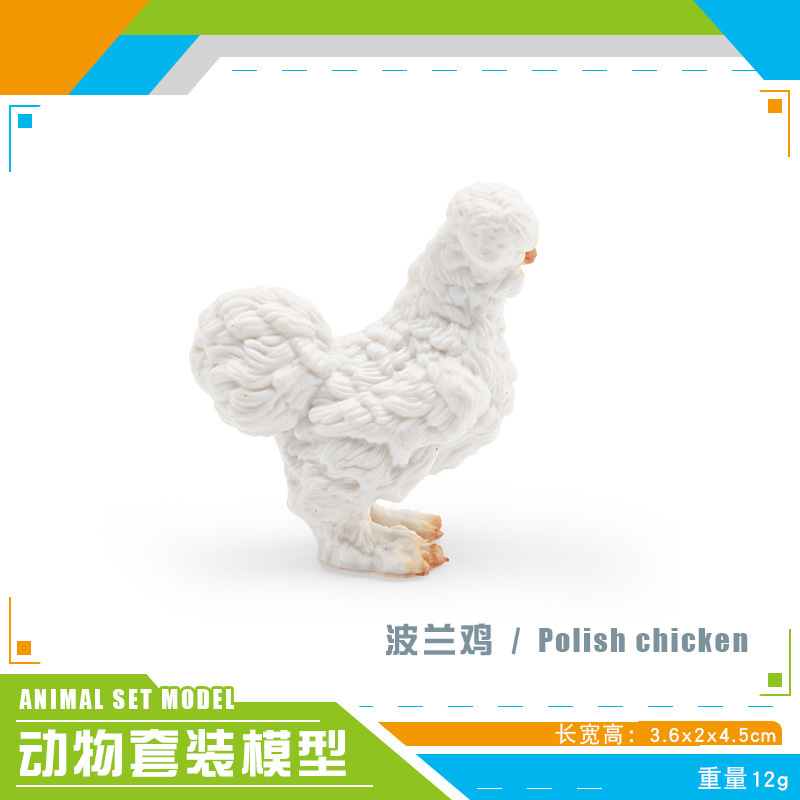 Pl127 - 2939 pollo polaco 12g