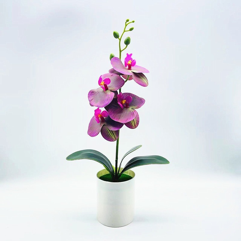 クロスボーダーのシミュレーション胡蝶蘭盆栽花付きデスクトップ装飾プラスチック造花盆栽撮影植木鉢置物花頭|undefined