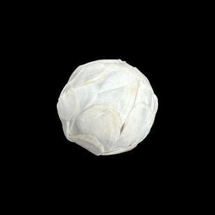 Spot Wholesale | 4cm Tongcao Ball Home Decoration Sola Ball Cross-Border Dried Flower Sachet Filler Tongcao Ball