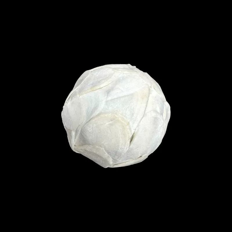 Оптовая продажа | 4cm Tongcao мяч для украшения дома Сора мяч трансграничный сушеный цветок саше наполнитель