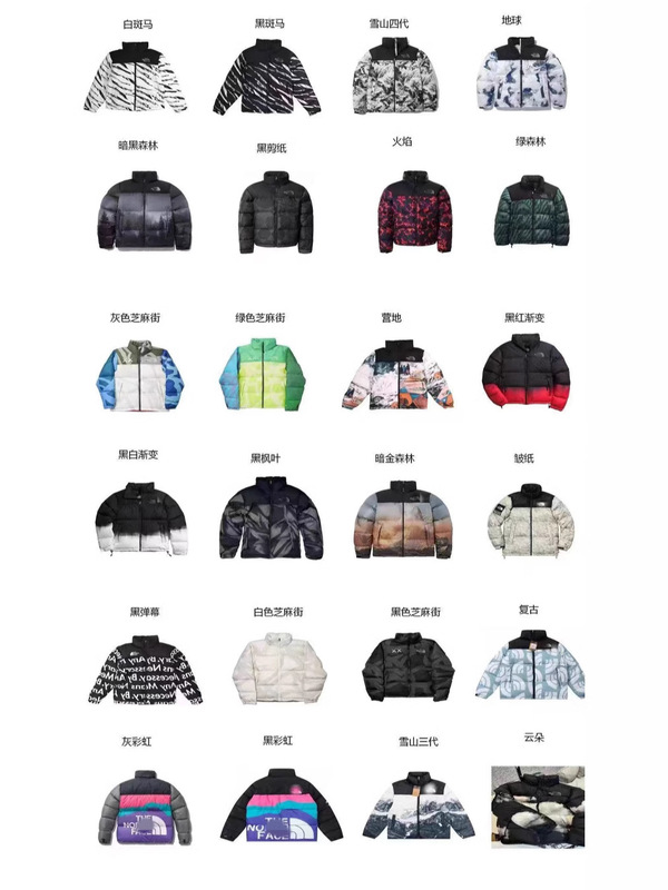 冬季北脸刺绣棉服多色新款立领时尚潮流百搭休闲加厚保暖宽松外套|undefined