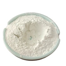 ̼���}�p�|���Գ����������z�켈�T����ĥ�۴�Ĥ���������