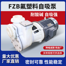 FZB 氟塑料泵 自吸泵 50FZB-30 高分子直连式化工泵 耐腐蚀水泵