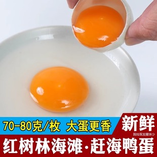 �V���������r��������߅ɢ�B���r��ͨ���bһ�����l
