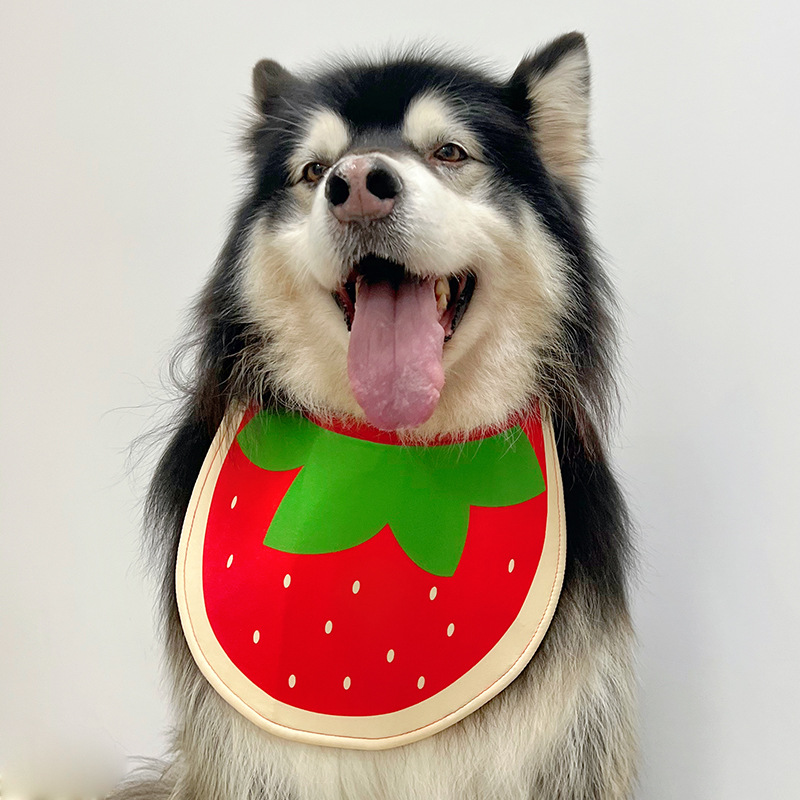 Dog Scarf 6