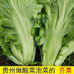 ���r�߲˰�о�����˿���F�ݬFժ�w�˷ǿ�ʹ��~������~�����