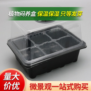 ���ճ��̦�\���B��ֲ�ﷱֳ��Ǥ�岥�N�����12��6��������