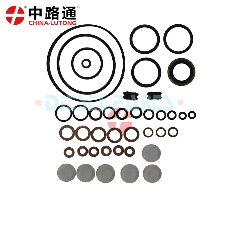 F01M101454 Diesel Fuel Injection Valve Repair Kit Cp1-454