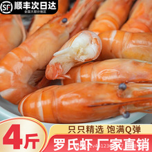 500克*4盒罗氏虾熟冻罗氏沼虾整箱鲜活冷冻冰超特大头虾金钱虾饭