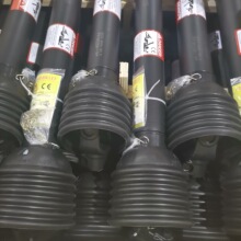 �r�C��� �������S ���p�͙Cе�f���S�S�� �����C�����C���