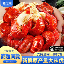 无冰龙虾尾特级冷冻生鲜大号一级整箱鲜冻虾球虾尾商用批发