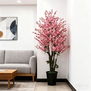 �S��ֱ�����滨�һ�����һ���ҾӾ��^�������ԾGֲ�辰�[����ˇ