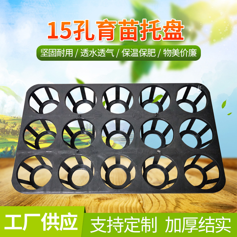 厂家批发塑料育苗花盆园林花艺15孔育苗盆 供应盆栽植物周转盘