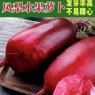 �P��ˮ���}���N�ӼtƤ�t���������_������ˮ���}���N��ͥԺ�߲���