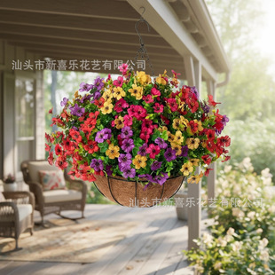 �S�����l�羳���滨�F��Ҭ�ص��@���_�m�b���ǰ�T��@���m����