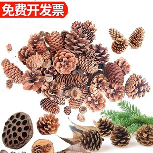 �羳�}�Q�ɹ������b�diy�����׃��@����ɻ�����ɭ�ָɘ�֦ľ�|