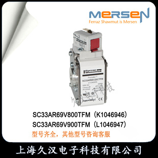 Roland SC33AR69V800TFM/K1046946 SC33AR69V900TFM/L1046947 fuse