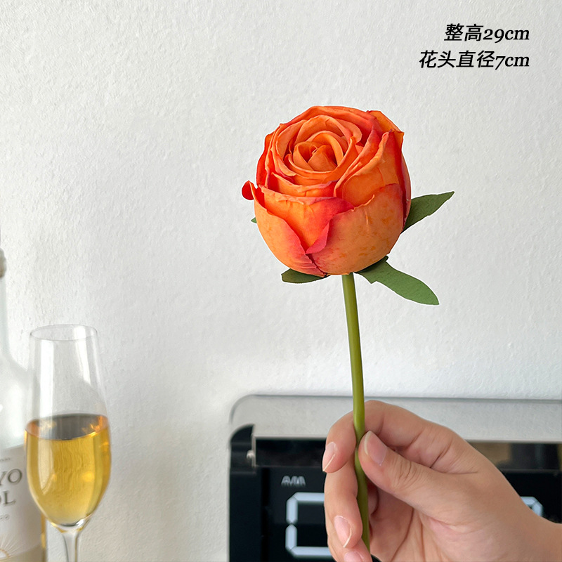 일몰 구운 가장자리 다이아몬드 장미 1