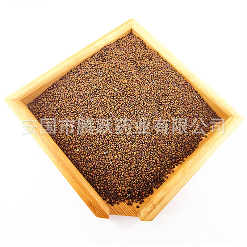 Sha Yuan Zi Dried Flatstem Milkvetch Seeds 500g 1000g Traditional Chinese Herb for Decoction and Tea overview