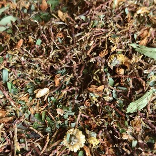 ���B�̸β轡�����o�����S�����^���u�ǲ��������~��ɽ�۲�