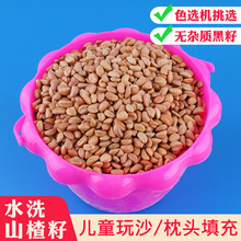 山楂籽玩具沙大颗粒代替决明子枕芯填充 儿童沙子挖沙游乐场沙