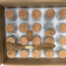 跨境热销玻璃许愿瓶小号木塞盖密封透明幸运星瓶子糖果分装布丁瓶