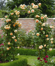 һl6Nޱٱ¼شֲļ_õ