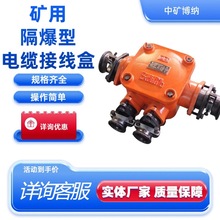 �����汾����ú�V��BHD2-200/1140�����͵͉���|�Ӿ���