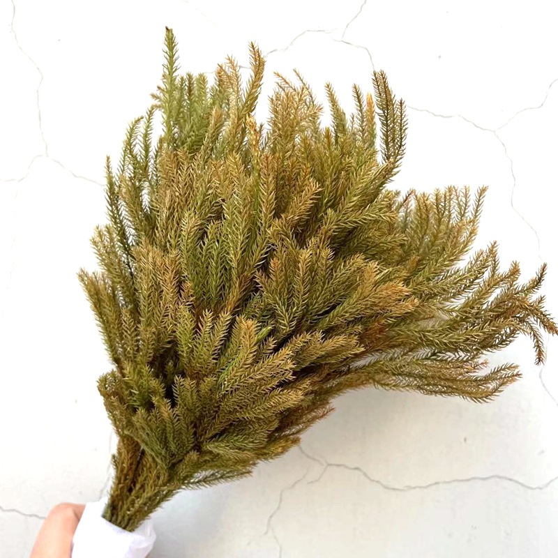 微信图片_20210118233405