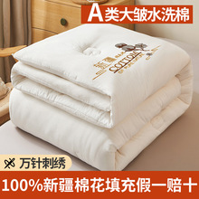 A��½��ޱ����޻���о�����Ӻ�ů�����L�q��̥�|���촲�|����