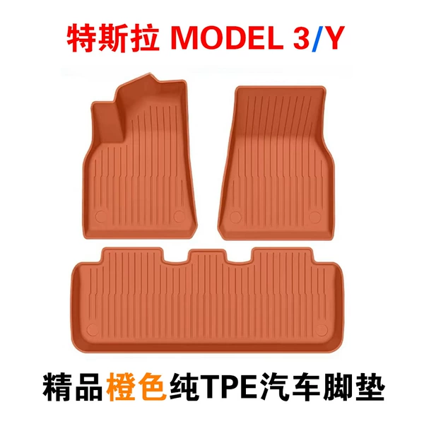 5-seater pure TPE single layer + remarks model + year