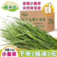 2023新小麦草粗纤维磨牙 兔子干草龙猫豚鼠荷兰猪宠物牧草主粮1kg