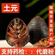 中药材 土鳖虫 金边土元  清水货 土元  土鳖虫 支持药检 承接订