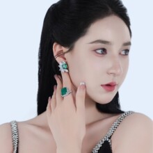 925�y�㙽���ĸ�Gɫ��ָ�������縻�Ś���߶��錚���A�¿�2025