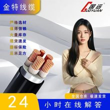国标YJV/YJV220.6/1KV铜芯电缆45芯10～300平方电力电缆低压