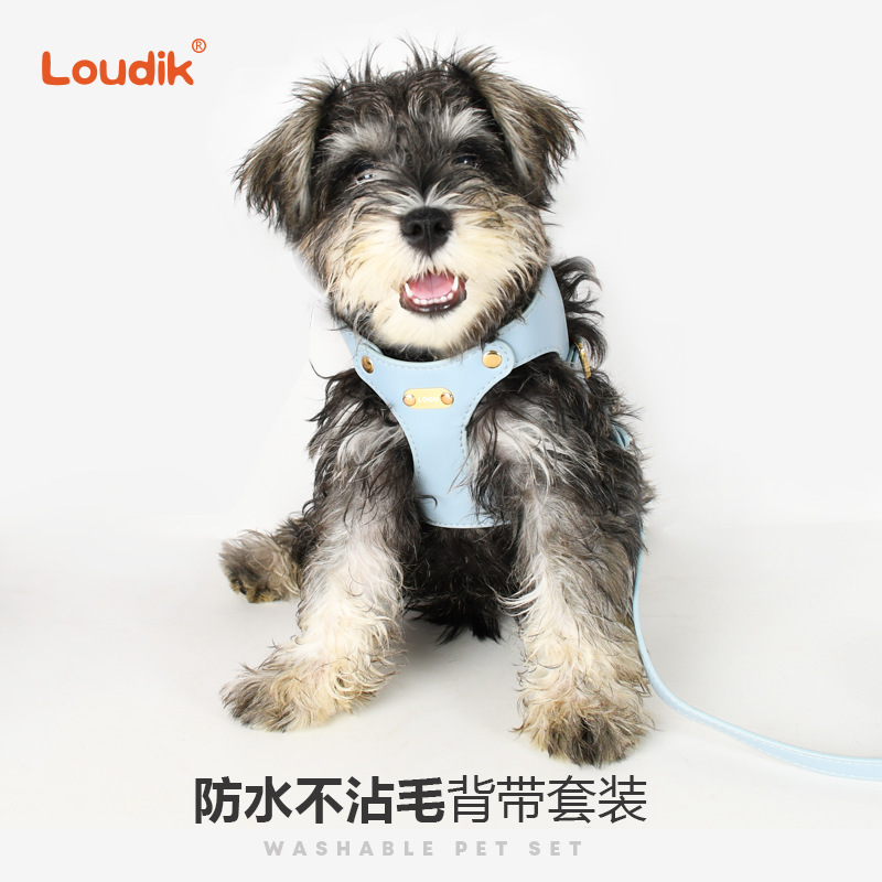 批发原创时尚皮质宠物猫咪狗狗胸背带牵引绳牵引带用品小型犬跨境|undefined