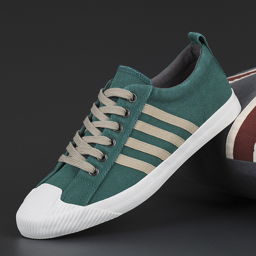 Canvas shoes men's shoes 2024 spring new autumn men's shoes soft sole breathable men's sneakers casual trendy shoes