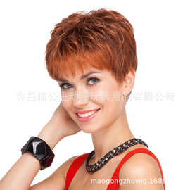 欧美速卖通假发 外贸时尚女士蓬松短卷发 红棕色直发头套一件代发