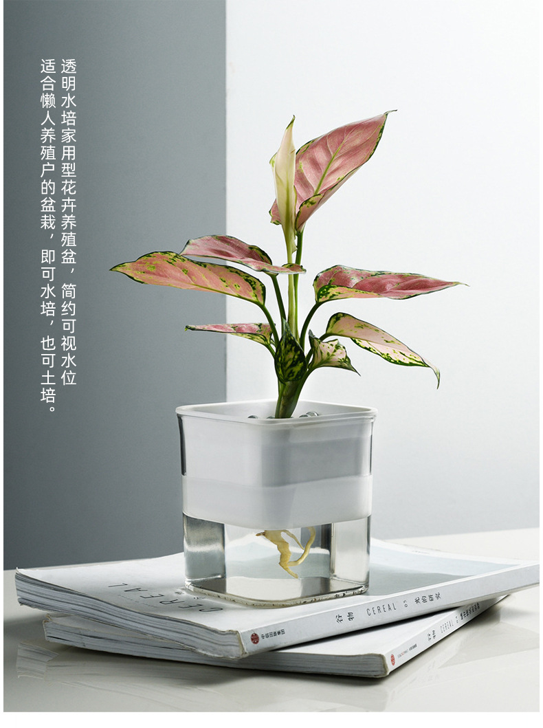 透明可视懒人绿萝自动吸水花盆花瓶方形大号塑料水培绿植养殖盆-