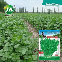 SֱNͳ̦~˷N500ļ~ܾݴ˷Nl