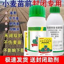 小麦田苗前封闭专用除草剂播后苗前使用禾阔双封一季无草药