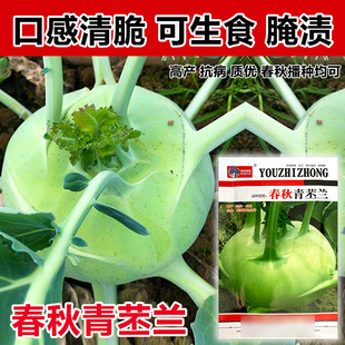 ���������{�N�� ˮ���G���m ���o���{ ����ͥԺ�׷N�ļ��߲���