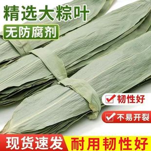 Wholesale Large Dried Zongzi Leaves, Large New Leaves for Wrapping, Cheap for Home and Commercial Use during the Dragon Boat Festival