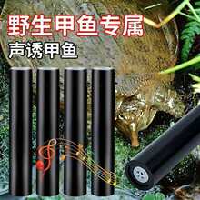 ?2024�¿���~���چ����~���^���Ӵ��M����~�����ڼ��~���o����