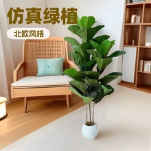 ��Ʒ�ػ����~�����ԼҾ��҃��bGֲ������ط���ֲ������~�辰